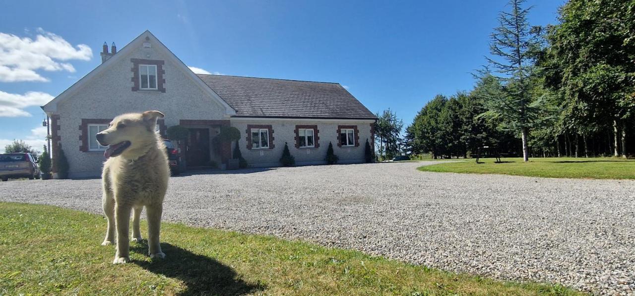 Littlefield B&B Durrow, Laois ภายนอก รูปภาพ